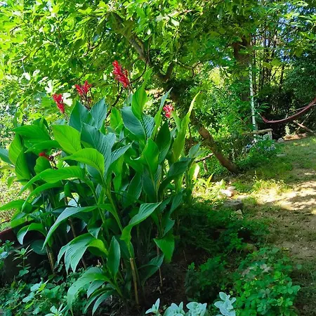 Szálloda Filoxenia Cangaráda