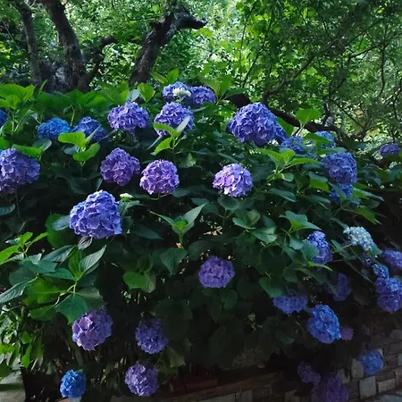 Filoxenia ホテル *