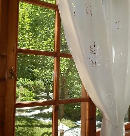 Filoxenia ツァガラダ