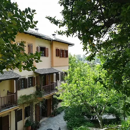 Filoxenia ツァガラダ